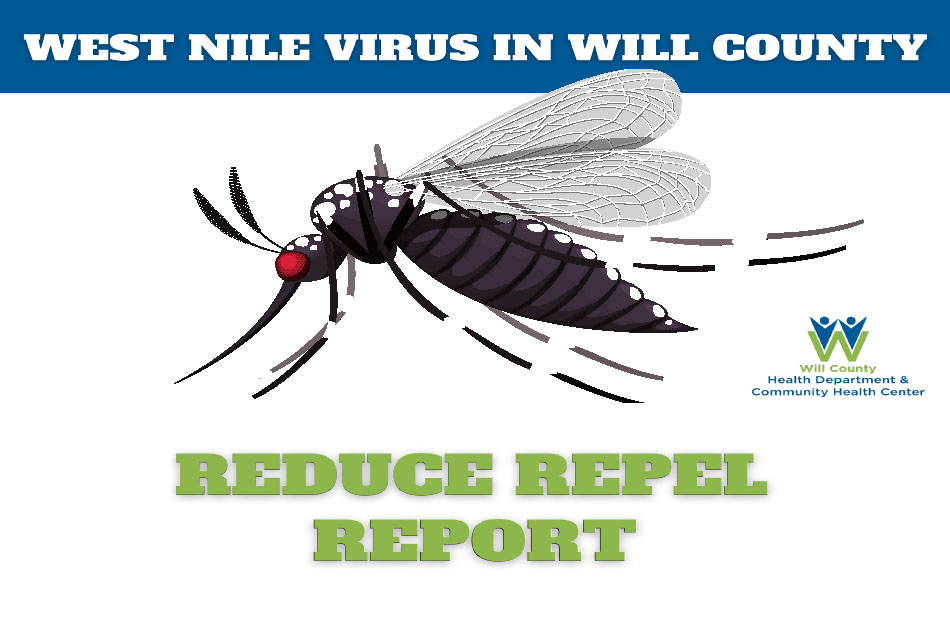 First Mosquitoes In Will County Testing Positive For West Nile Virus Reported In Mokena
